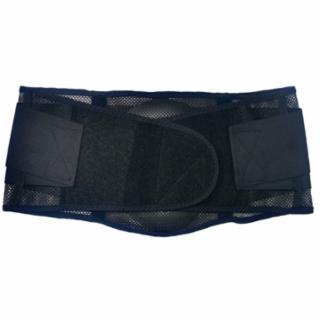 ERGODYNE 20183 Ergodyne ProFlex® 1051 Mesh Back Supports