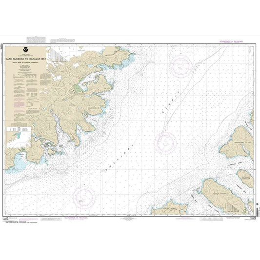 Paradise Clay NO_16576 HISTORICAL NOAA Chart Shelikof Strait-Cape Nukshak to Dakavak Bay