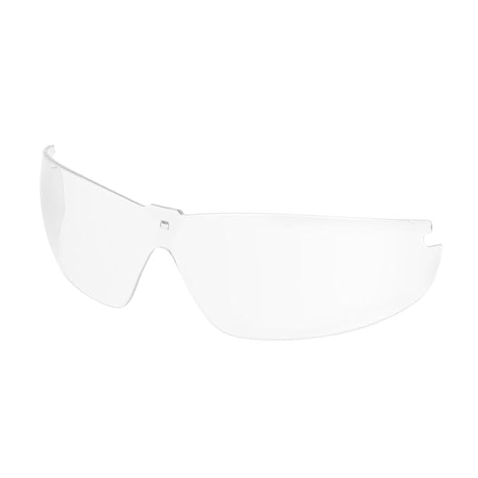 Delta Plus WELRL56GAF Denali Replacement Lens - Grey, Anti-Fog