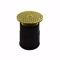 Jones Stephens D62434 4" Adjustable Cleanout 4" Spud with 4" Gasket Connection with 5" Polished Brass Cover