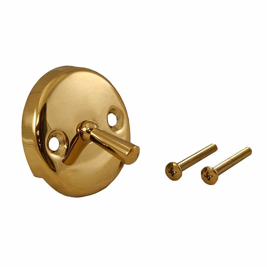 Jones Stephens T08003 Polished Brass Two-Hole Trip Lever Overflow Plate with Screws