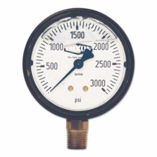 DIXON VALVE GLS450 2 1/2 Stnls Lm 0-3000 Ps