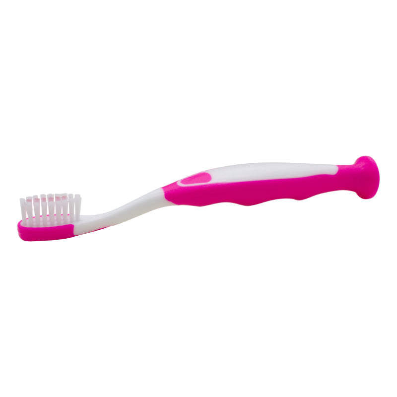 Tess Corporation 24205 Child Suction Cup Toothbrush