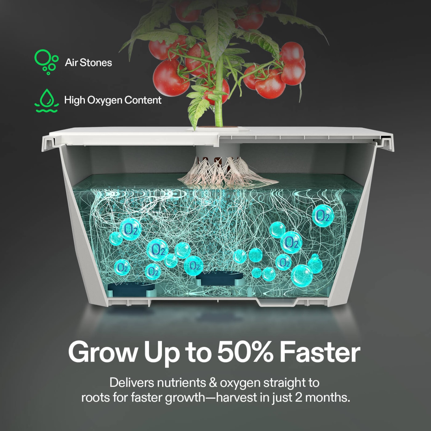 Vivosun VGrow Smart Box & DWC Hydroponics Growing System Kit, Smart Indoor Gardening with Automated Plant Growing