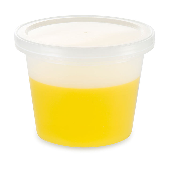 Globe Scientific 271032 Container Multi-Purpose PP Economy Style 32oz (960mL) Separate HDPE Snap Lid Natural