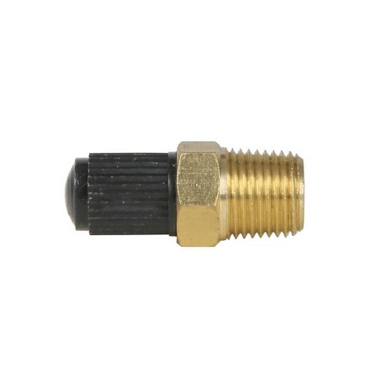 Jones Stephens G64002 1/8" Schrader Valve with Cap