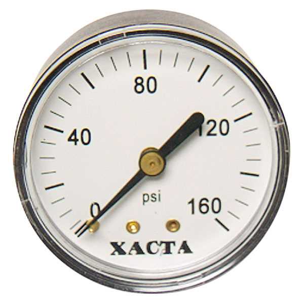 American Lube 29863 1/8" Back-Ported Gauge