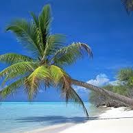 Paradise Heating and Cooling - Beech Grove In