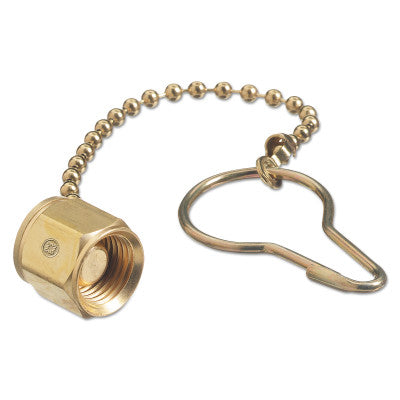 Western Enterprises C-907 We C-907 Chain & Plug