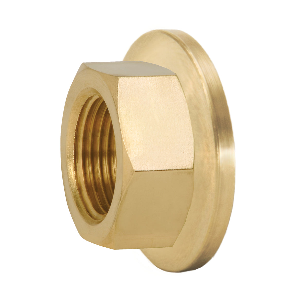 Caleffi 31401 FD Tail Piece 1-1/4" FNPT from 548007A