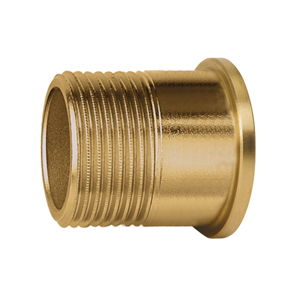 Caleffi R31981 1/2" NPT Male Fitting