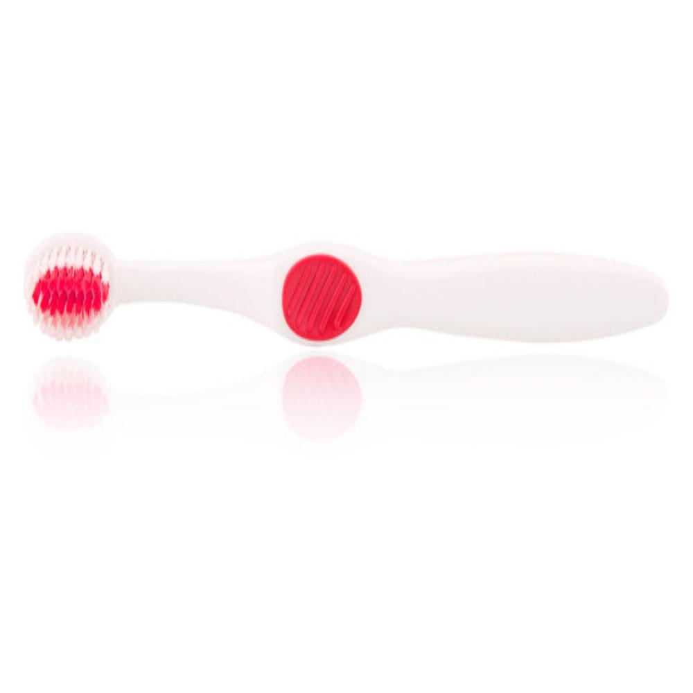 Tess Corporation 3650  Accent Winter Toothbrush