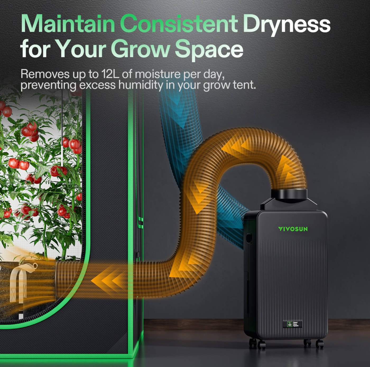 Vivosun AeroDrain D12 Intelligent Environmental Dehumidifier, up to 12L/day, 2L Water Tank, with Temperature & Humidity Sensor Probe
