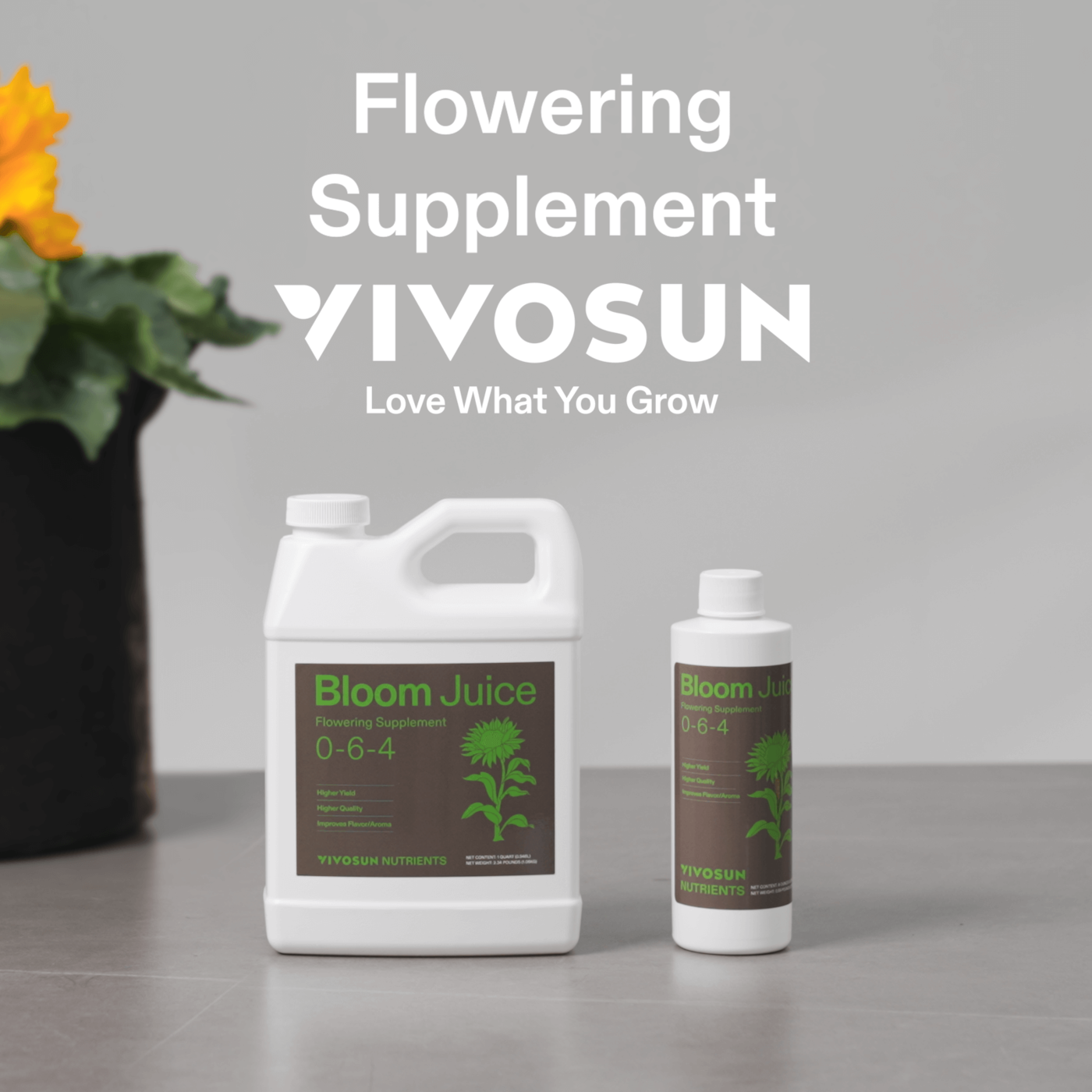 Vivosun Bloom Juice (0-6-4), Flowering Supplement Liquid Fertilizer for Flowering Stage, 32 Ounces