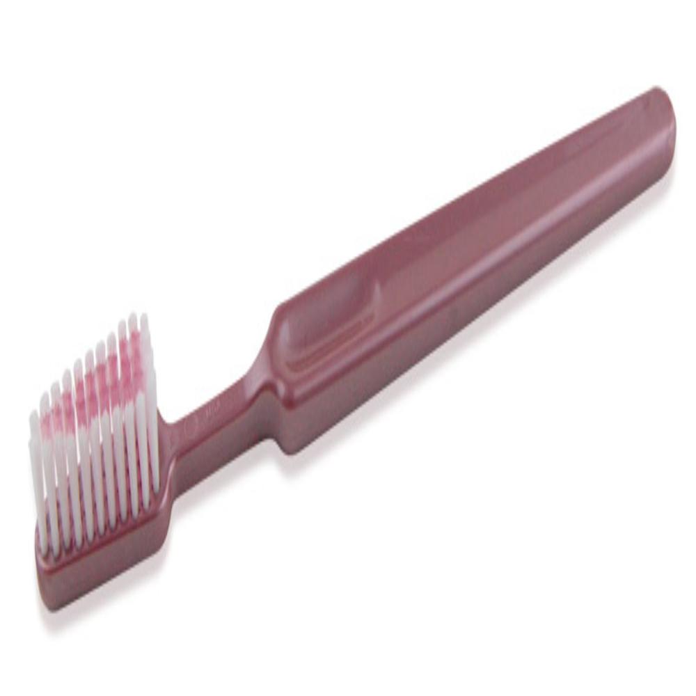 Tess Corporation 4220 Signature Classic Toothbrush