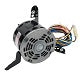 Packard 43787 Torsion Flex Direct Drive Blower Motor, 1/2 Hp, 115 Volt, 1075 Rpm