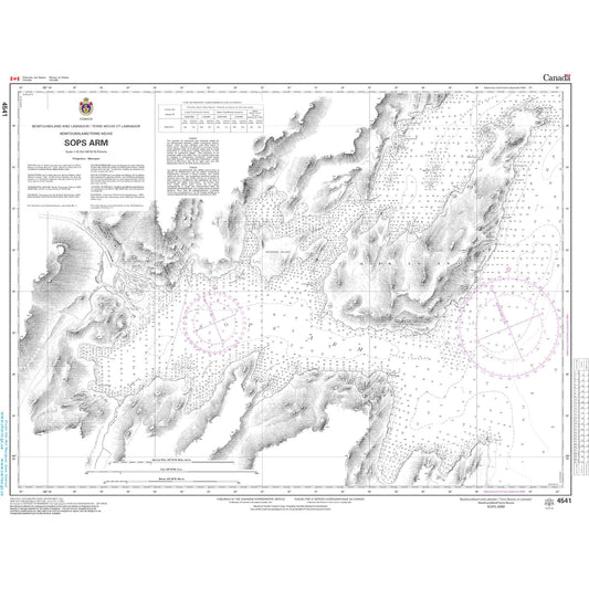 Paradise Clay CAN4541 CHS Chart Sops Arm