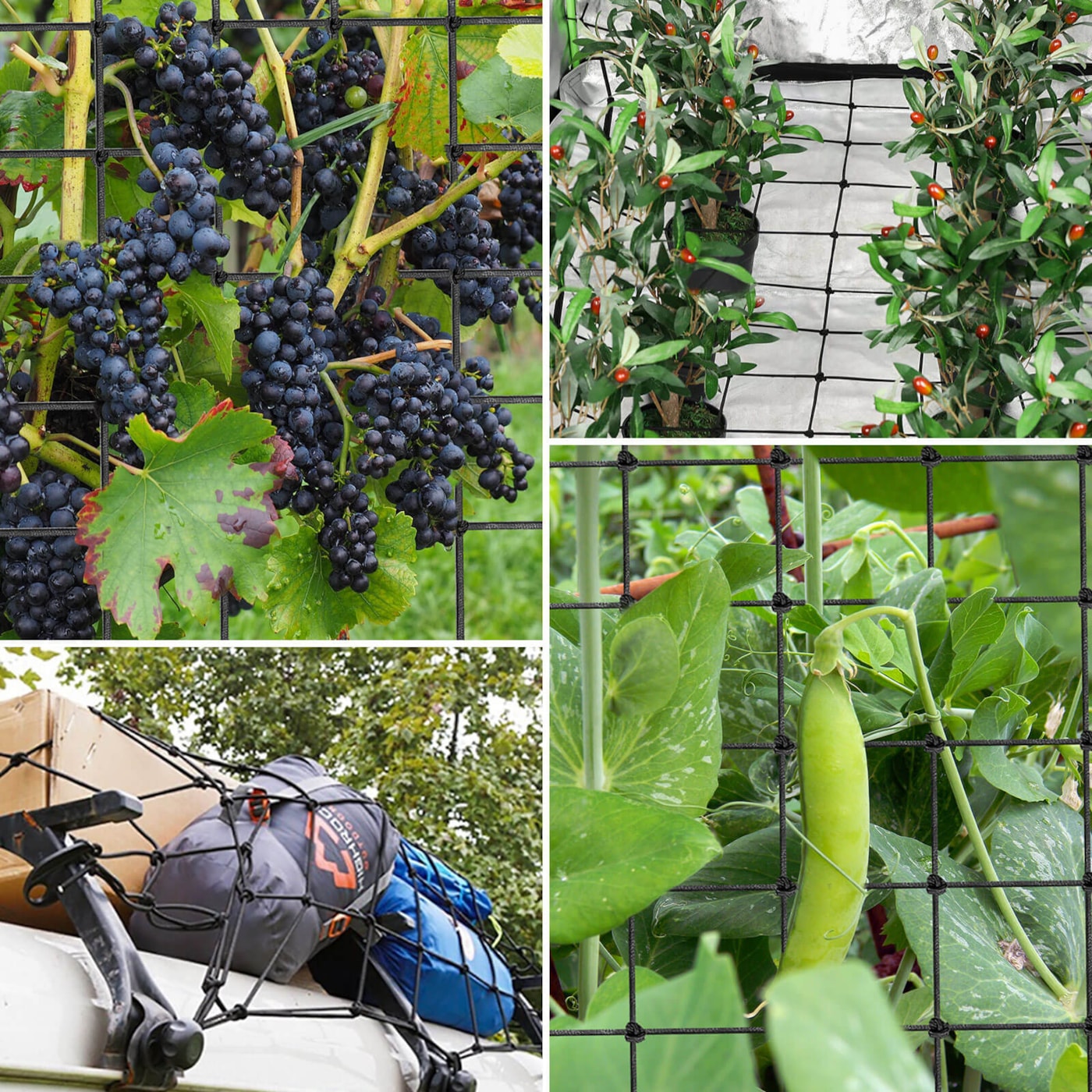 Vivosun 3 x 3Ft. Elastic Trellis Netting with 4 Hooks