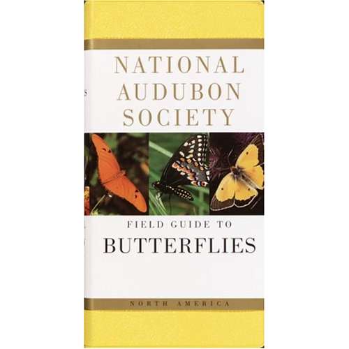 Paradise Clay RAN473 National Audubon Society Field Guide to North American Butterflies - Book