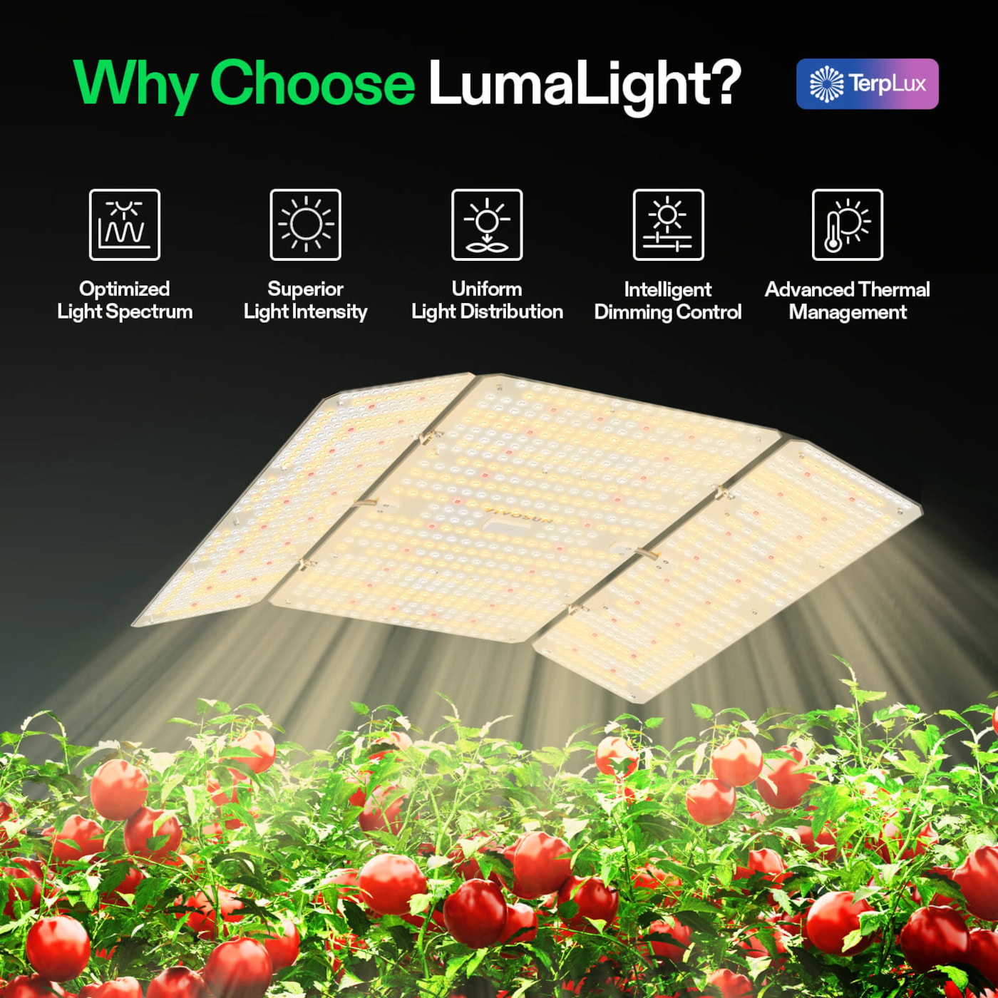 Vivosun LumaLight LED Grow Light, Full Spectrum Plant Light, 400W Smart Dimmable & High PPFD for Indoor Plants Seedling Vegetables Bloom