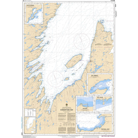 Paradise Clay CAN4847 CHS Conception Bay