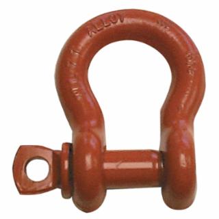 CM COLUMBUS MCKINNON M646P 1/4" Painted Screw Pinanchor Shac