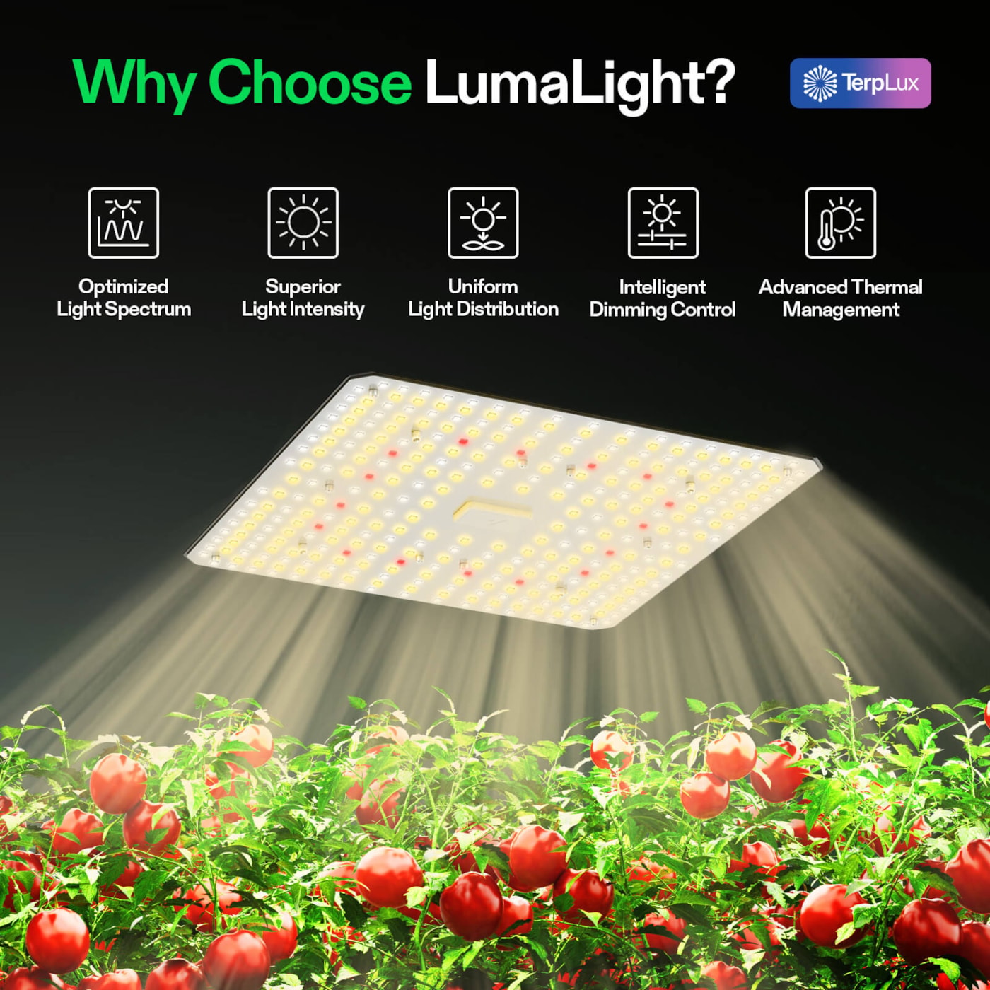 Vivosun LumaLight LED Grow Light, Full Spectrum Plant Light, 100W Smart Dimmable & High PPFD for Indoor Plants Seedling Vegetables Bloom