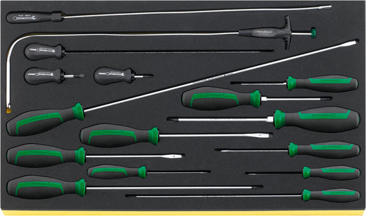 Stahlwille 96832098 TCS 4621/4734/16 Screwdriver Set Drall+