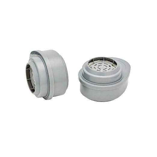 MSA 815366 Gme-P100 Cartridge (2 CTG)