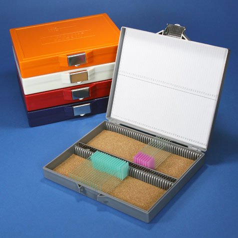 Globe Scientific 513080W Slide Box for 100 Slides Cork Lined Stainless Steel Lock White