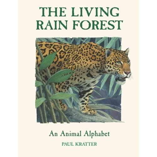 Paradise Clay RAN605 The Living Rain Forest - Book