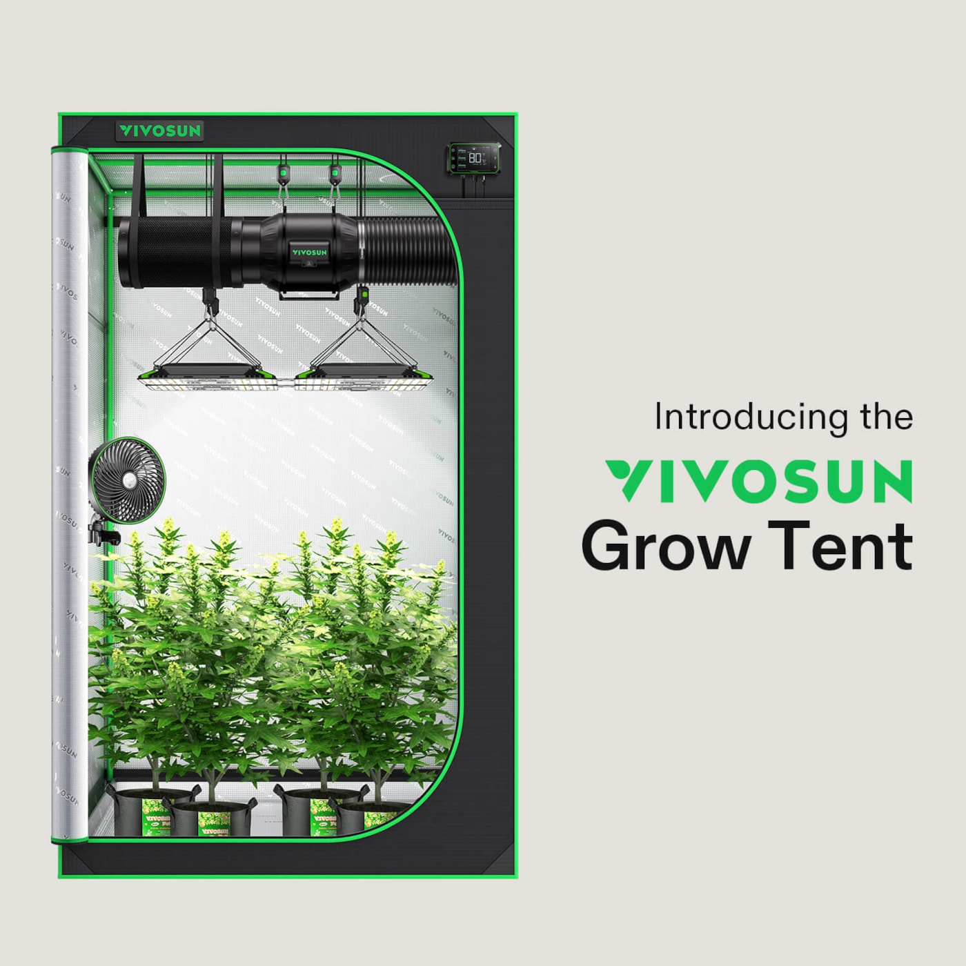 Vivosun Grow Tent 2x4 S425, 2-4 Plants Use, 600D Light-proof Oxford, 24' x 48' x 60', For Indoor Plants Growing