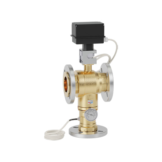 Caleffi 600060A LegioMix® Electronic Mixing Valve 2-1/2" flanged 105Cv