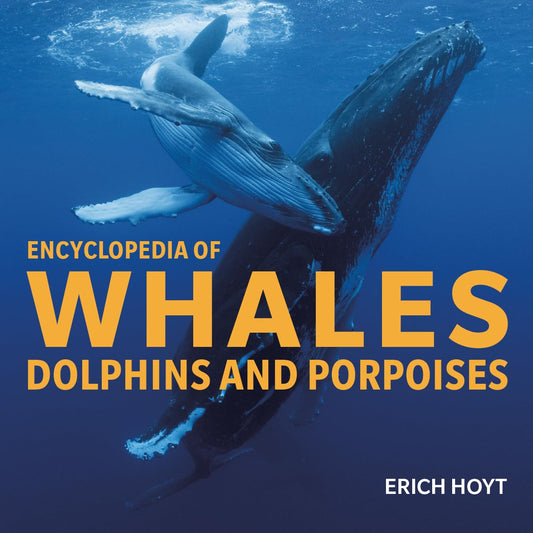 Paradise Clay FFB181 Encyclopedia of Whales, Dolphins And Porpoises - Book