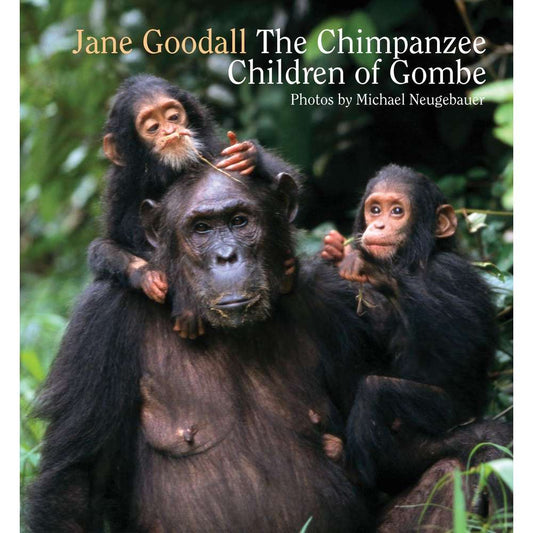Paradise Clay RAN628 Chimpanzee Children of Gombe - Book