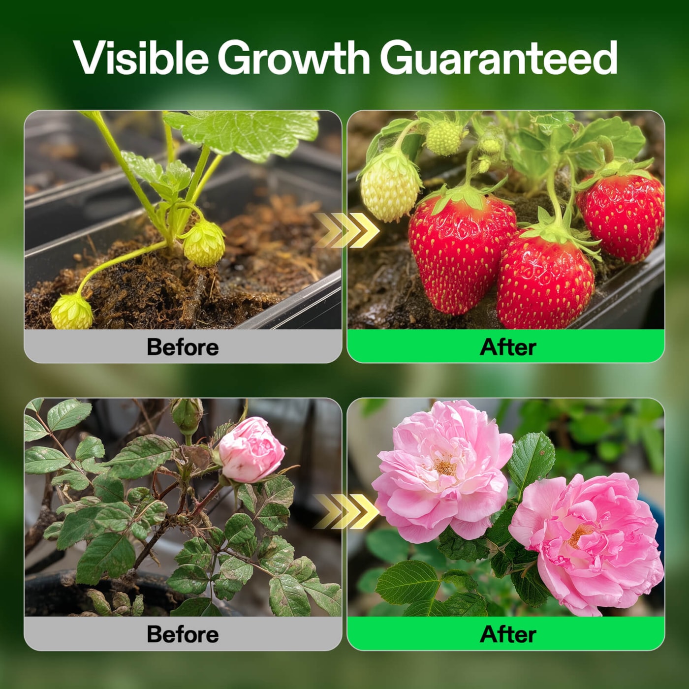 Vivosun Nutrients Base A & B Bundle, Liquid Fertilizer Supports Vegetative and Flowering Stage, 1 Gallon Each