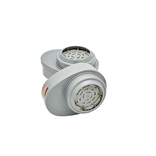 MSA 815366 Gme-P100 Cartridge (2 CTG)