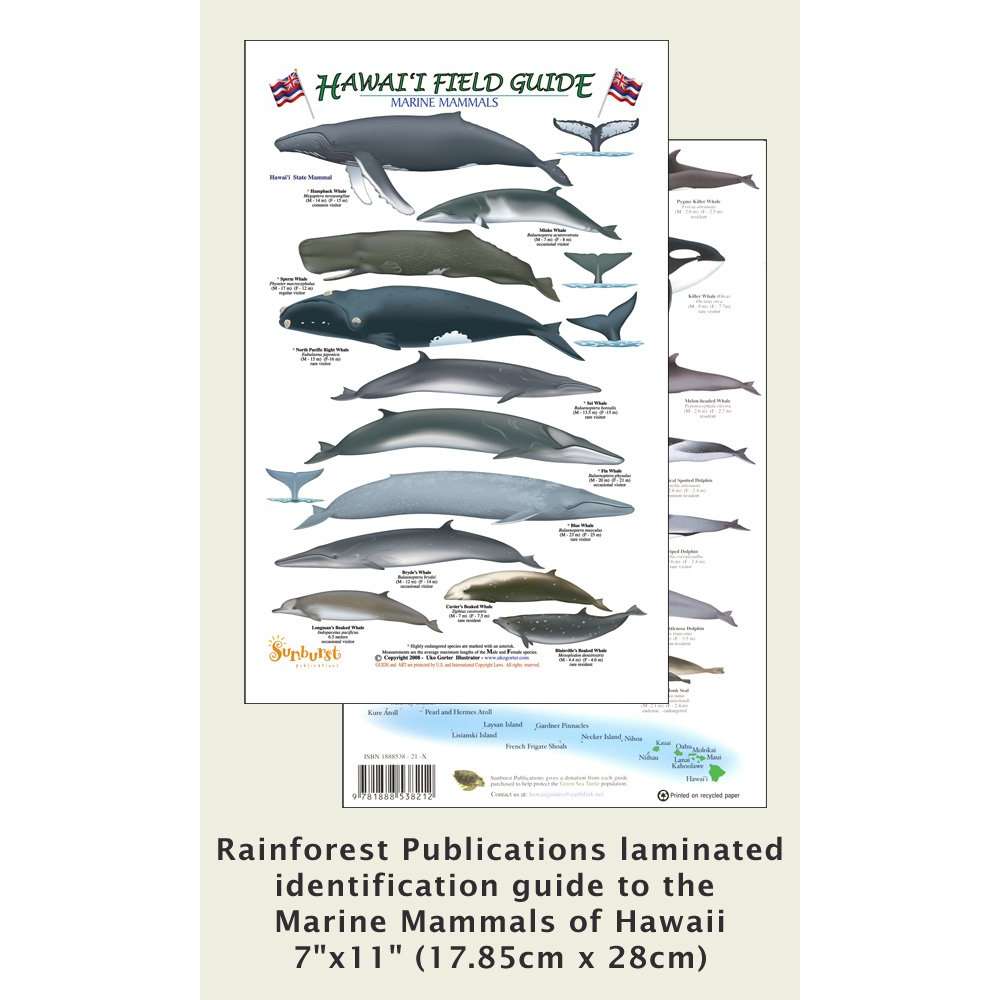 Paradise Clay RFP060 Hawaii Marine Mammal Identification Guide - Book