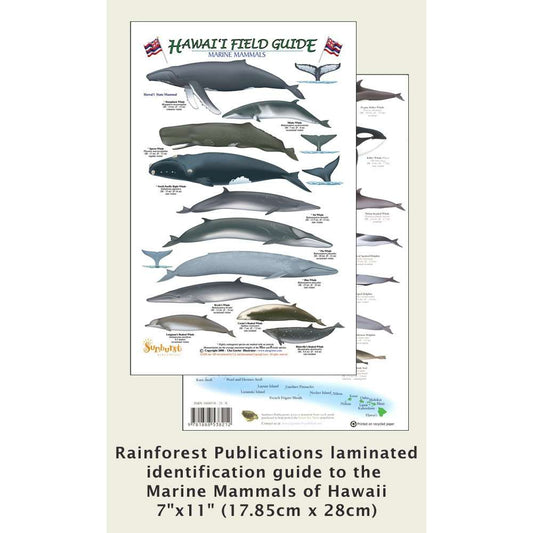 Paradise Clay RFP060 Hawaii Marine Mammal Identification Guide - Book