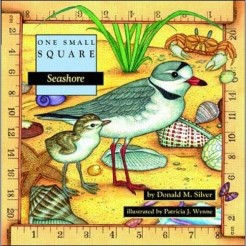 Paradise Clay INT453 One Small Square: Seashore - Book