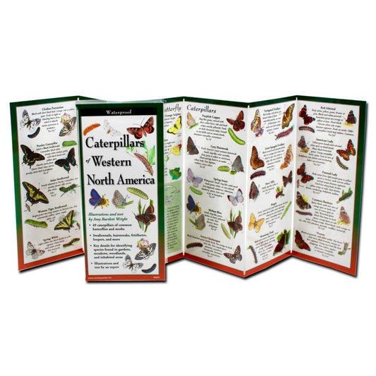 Paradise Clay FGG110 Caterpillars Of Western North America - Book