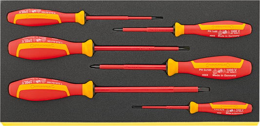 Stahlwille 96838766 TCS 4660/4665 VDE Vde Screwdriver Set Drall+