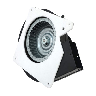 Packard 66005 Draft Inducer, Goodman Replacement, 115 Volt, 1.6 Amps