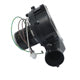 Packard 66181 Packard Draft Inducer Replaces Rheem