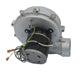 Packard 66254 Draft Inducer, Icp Replacement, 230 Volt, 0.3 Amps