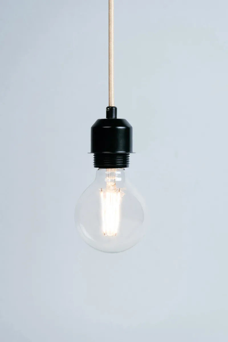 Euri Lighting VG25-3020e Vintage LED 100-Watt Equivalent G25 Globe Filament Lamp E26 Base Dimmable