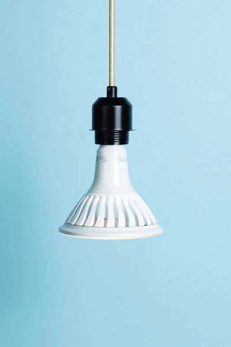 Euri Lighting EP38-20W6021e Everyday LED 150-Watt Equivalent PAR38 Lamp E26 Base Dimmable