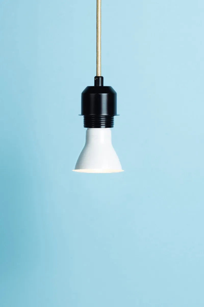 Euri Lighting EP20-7W6020E-2 Everyday LED 50-Watt Equivalent PAR20 Lamp E26 Base Dimmable