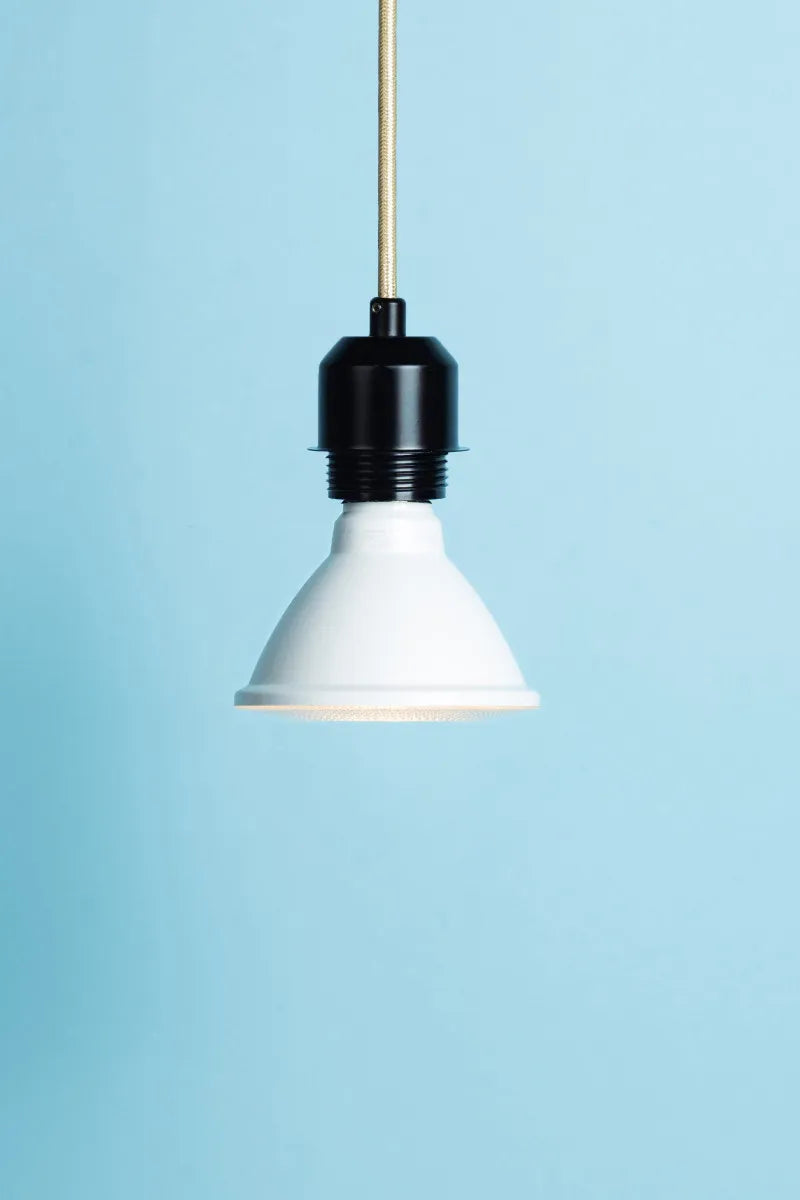 Euri Lighting EP30-11W6020ES Everyday LED 75-Watt Equivalent PAR30 Lamp Short-Neck E26 Base Dimmable