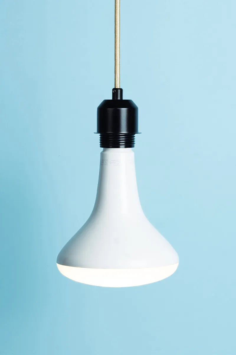 Euri Lighting EB40-17W3020E Everyday LED 100-Watt Equivalent BR40 Lamp E26 Base Dimmable